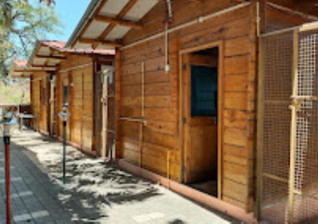 Kaas Woods Resort Yavateshwar Satara Exterior photo